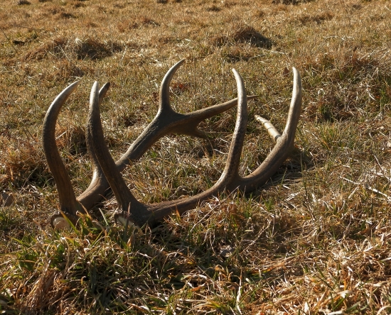 Pára z minulého týdne :)