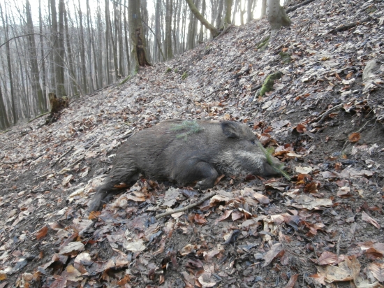 Dnešne a zaroven posledne v tomto roku :)