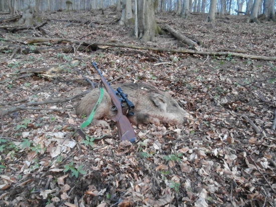 Dnešne vydarene rano