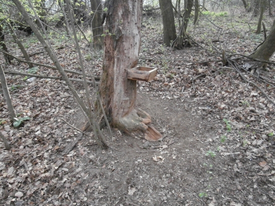 pravidelne navštevovane