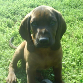 Argo :)
