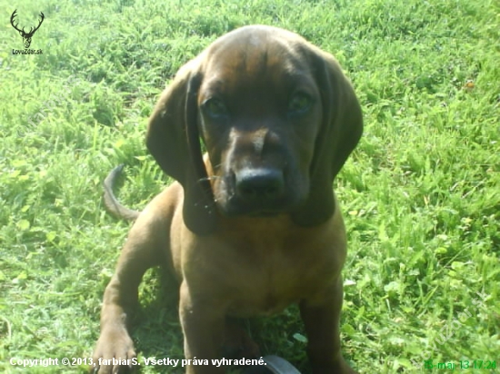 Argo :)