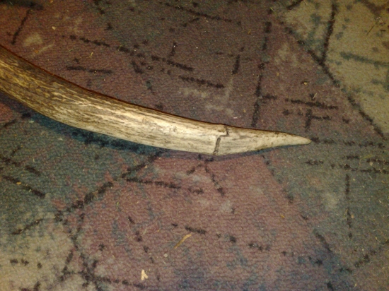 zlomený a znovu zrastený