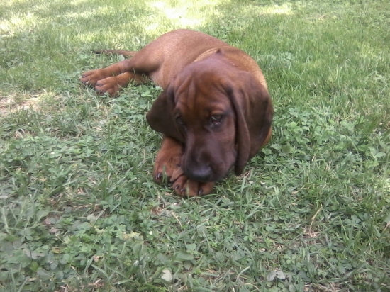 Rastie nám dokrásy :)