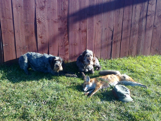 Lov bez střelé zbraně