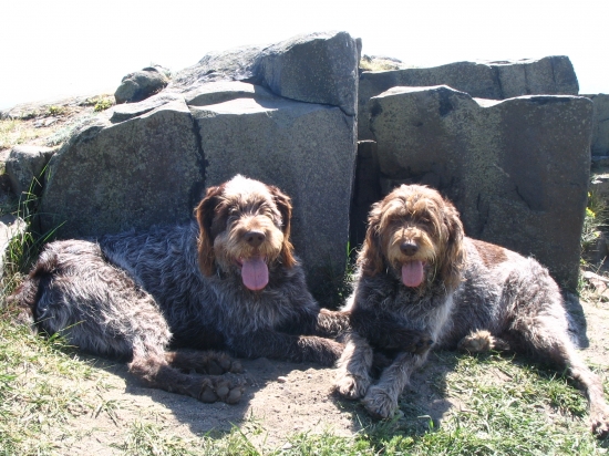 Po výstupu na Klapý