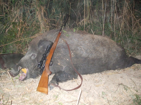 pozdrav od južných susedov