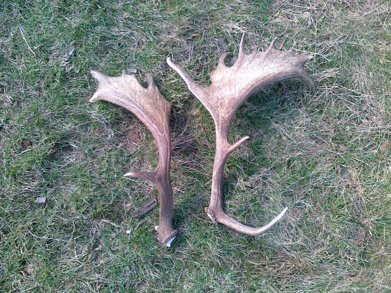 prechadzka na velku noc....