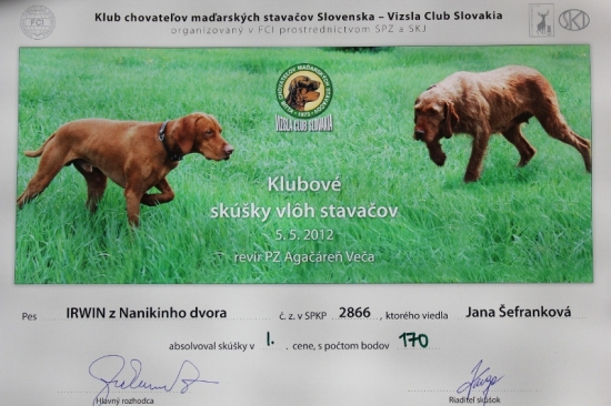 Skúšky vloh stavačov