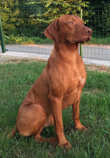 Sústredenie pred aportom