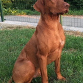 Sústredenie pred aportom