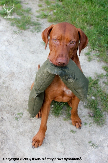 Pokorených 2,5kg 