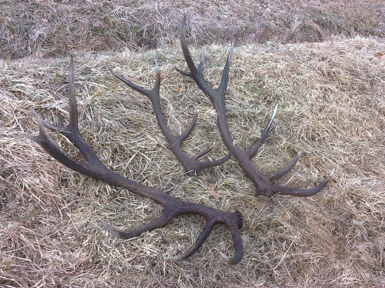 6 dní hľadania . No nakoniec odmena.