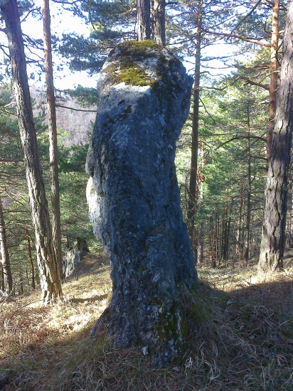 Budzogáň