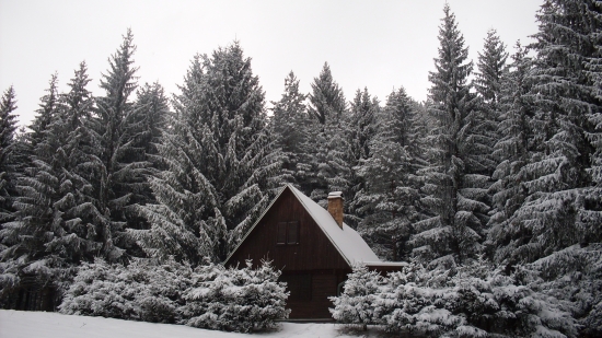 Poľovnícka chata
