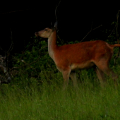 Po dlhom čakaní...