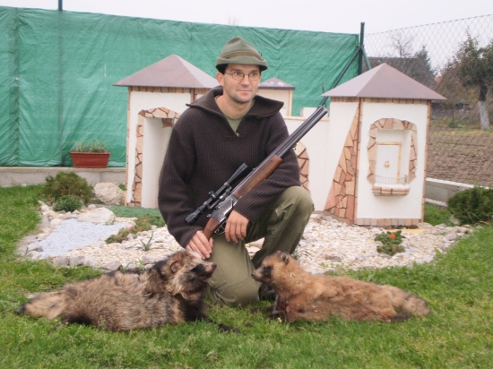 Psík medvedíkovitý