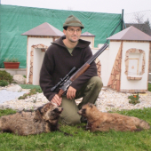 Psík medvedíkovitý
