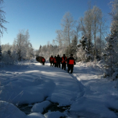 spoločná poľovačka