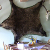 koža