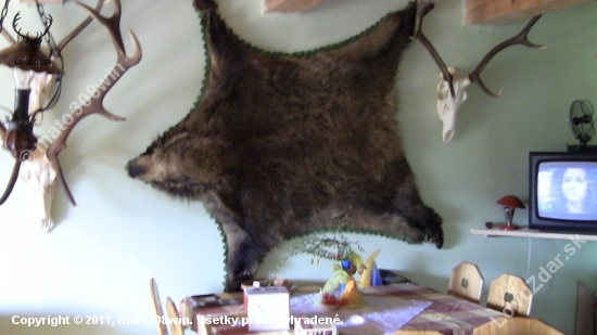 koža
