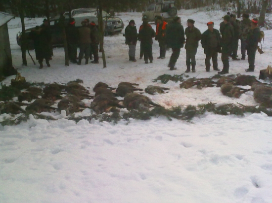 taký menší výrad