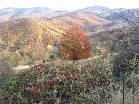 jeseň akoby štetcom