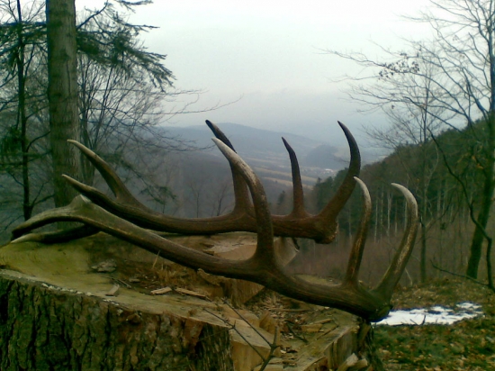 niečo z minuleho roka