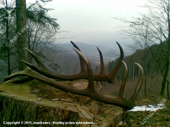 niečo z minuleho roka