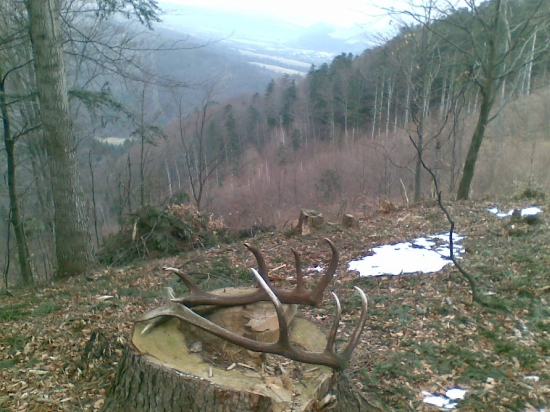 niečo z minuleho roka