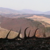 Miesto Pokoja