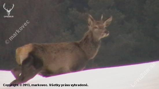 kedy zhodiš