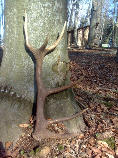 druhý a už čerstvý