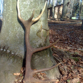 druhý a už čerstvý