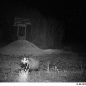 Nočná návšteva...