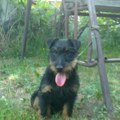 Hurikán Slovakia JATAGAN II.