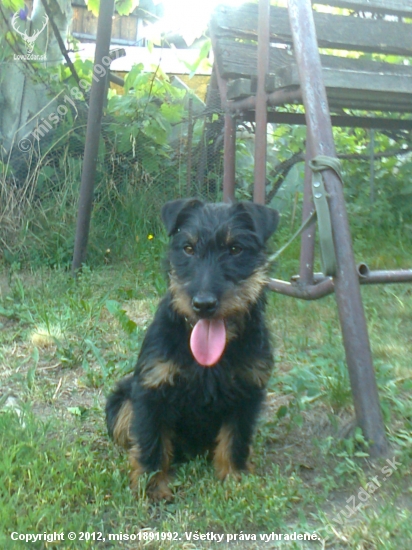 Hurikán Slovakia JATAGAN II.