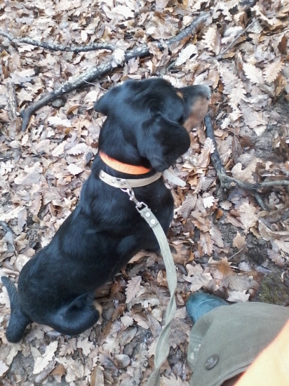 Guffy pred pohonom :)