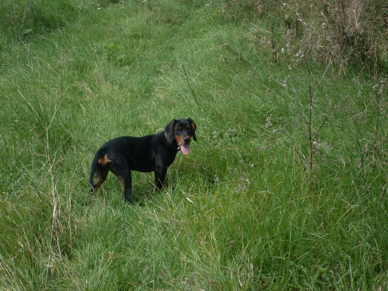 ISKRA z Hrachovského vŕšku