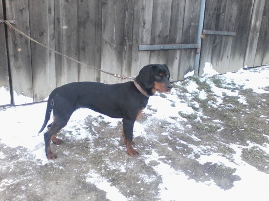 ISKRA z Hrachovského vŕšku