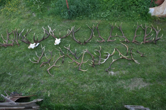 100ky kilometrov ale oplati sa