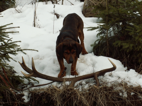 Zazitok z mojim Denynkom