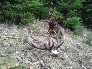 konecne sa stastie usmialo aj namna