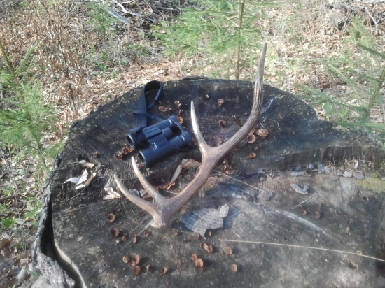 kamarat mi nasiel do paru