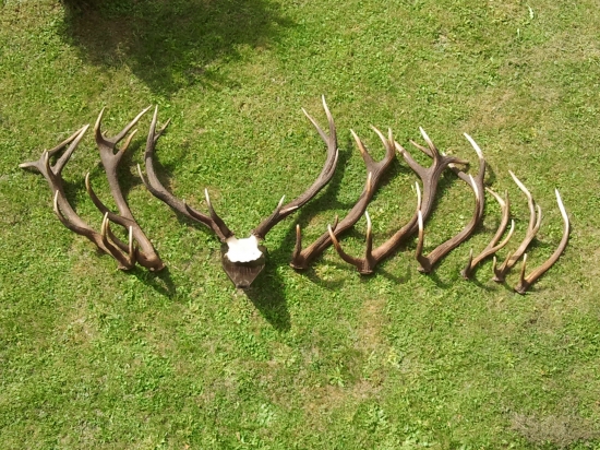 tak aj tento rok uz je ukonceny