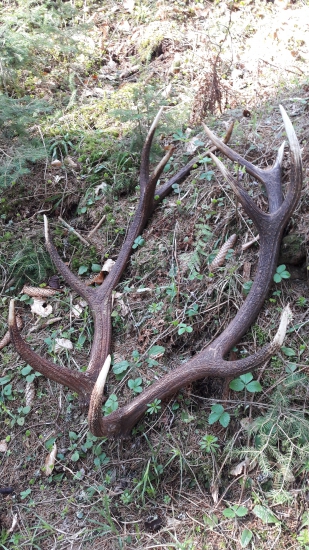 Dnes popri doplnani soliska zhruba 180 Cic