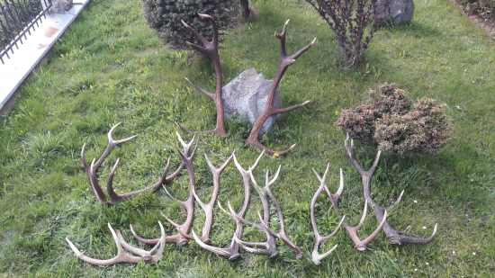 sezona 2017 ukoncena