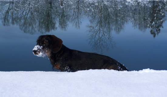 Freya Červený hrun
