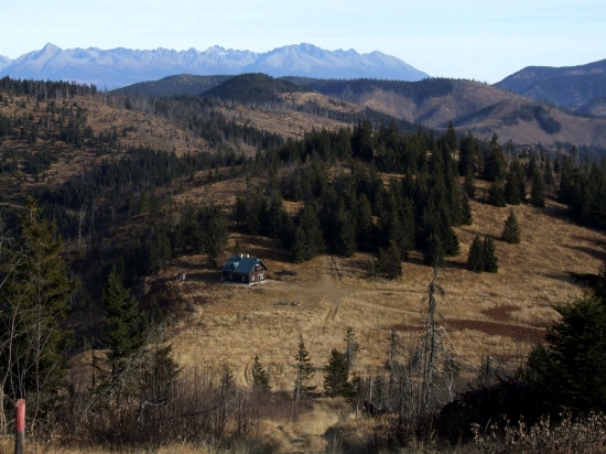 Tu by som chcel bývať