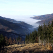 Novembrové rána